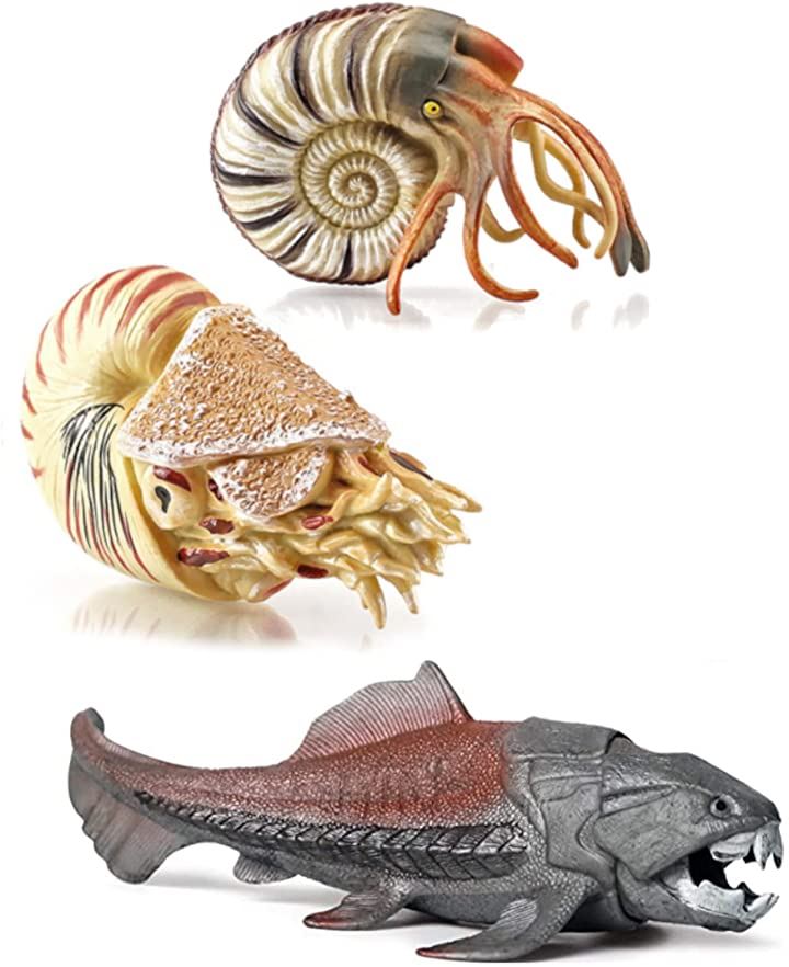 アンモナイトと長い貝の化石の置物