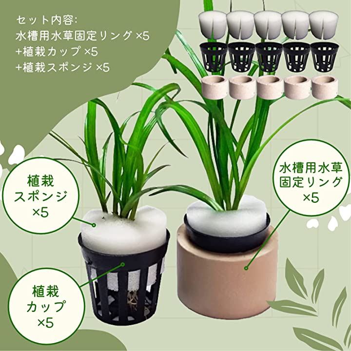 Qoo10] 水槽用 水草 固定リング 植栽カップ 植