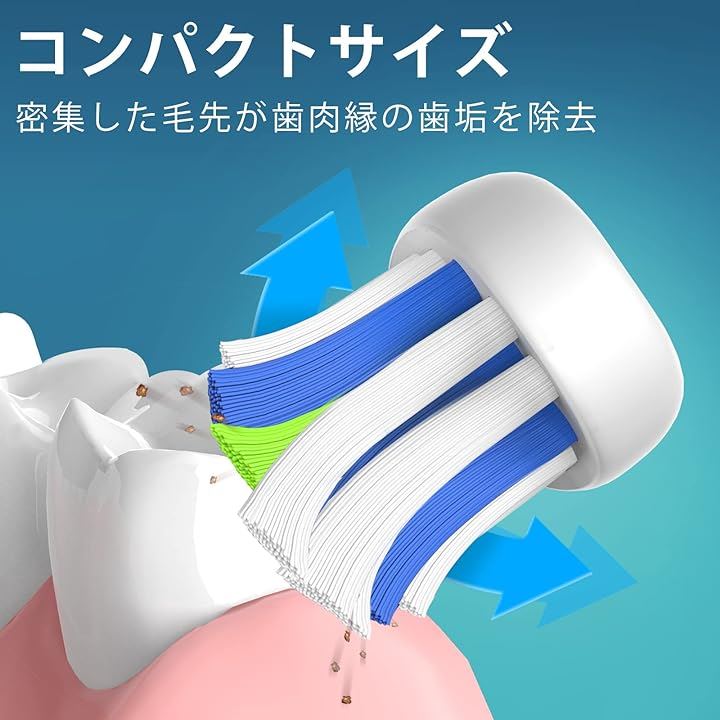 日本最大のブランド フィリップス ソニッケアー対応 HX9024 電動歯ブラシ用 互換 替えブラシ 4本セット スタンダードサイズ 安心一年保証 