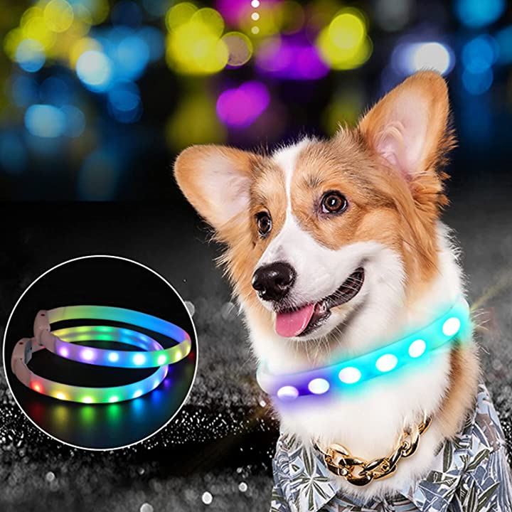 犬 光る首輪 点灯 led光る首輪 散歩 防水 USB充電式