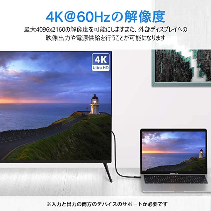 usb-c ケーブル type gen2 1m USB3.1 pd 100w対応 4K@60Hz 映像出力 ＆ 10Gbps高速データ転送  5A急速充電 柔らかいケーブル ブラック Switch オフィス用品 パソコン・周辺機器(ブラック)：[クイックスピード ヤマダモール店]