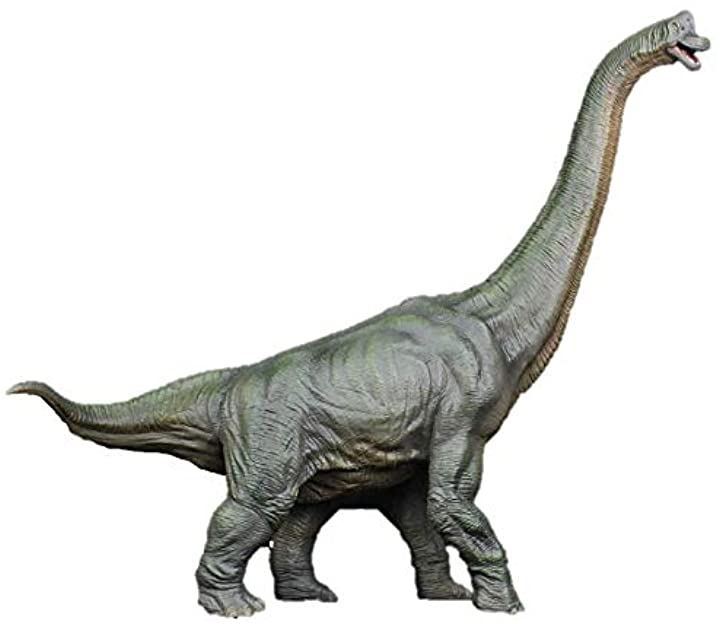 恐竜 プラキオサウルス 大迫力 フィギュア リアル 模型 ジュラ紀 30cm級 超合金・ロボット おもちゃ おもちゃ・玩具・ホビー